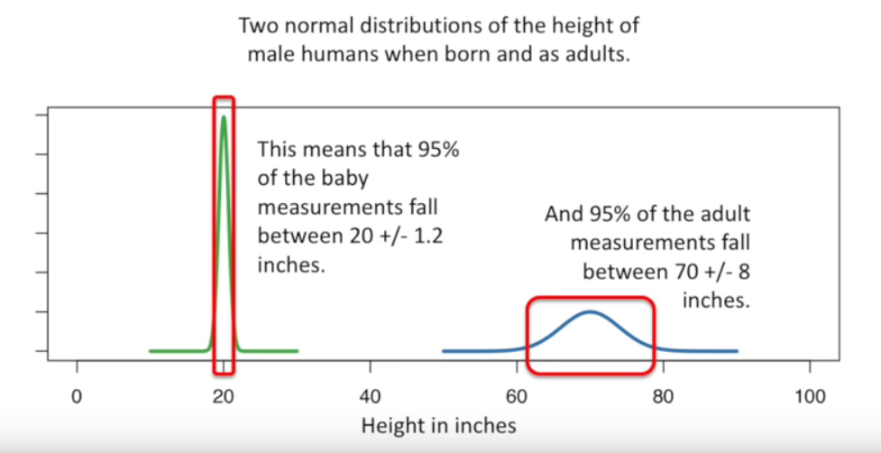 Statistics: Normal Distrubtion or Bell Curve